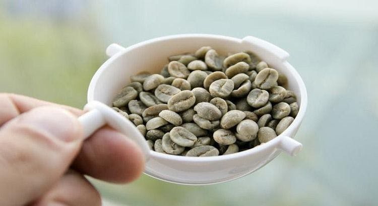 ¿Conoces las propiedades del café verde?